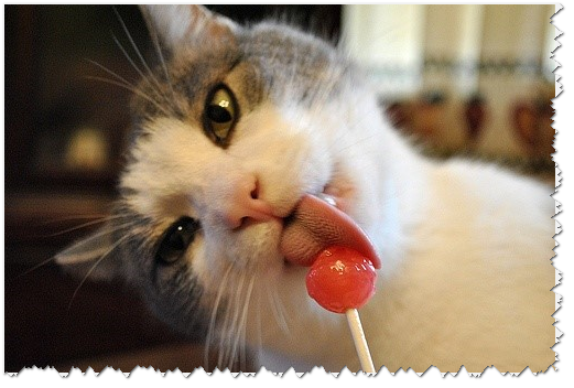 受不了，求你啦！能不能不要装可爱