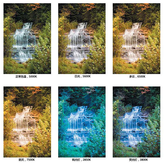 从零开始学摄影 实战白平衡的创意应用 从零开始学摄影 实战白平衡的创意应用