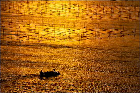 从零开始学摄影 实战白平衡的创意应用 从零开始学摄影 实战白平衡的创意应用