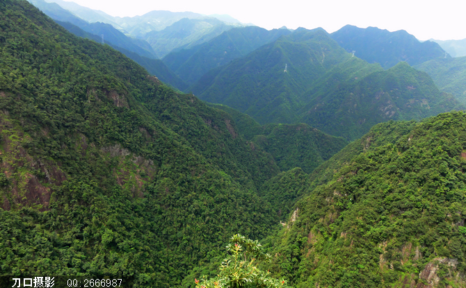 牛头山，也就那么一点点风景：7月27日自驾游 - shaofaming25 - 那一片纯净的阳光和树林