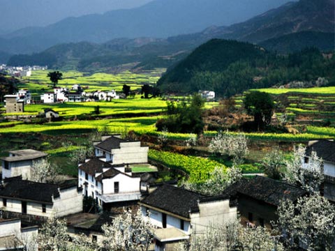 3月下江南 婺源我和春天有个约会