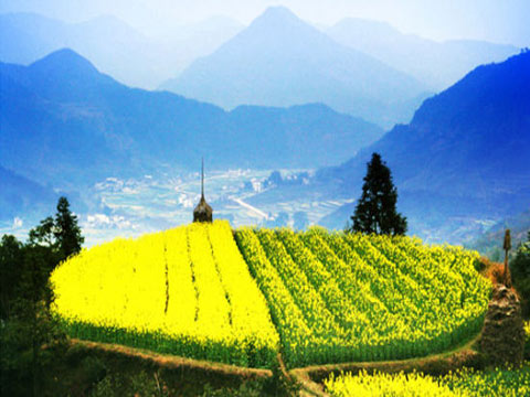 3月下江南 婺源我和春天有个约会