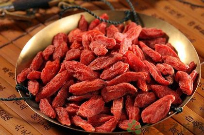 枸杞怎么吃最补肾 教你四种吃法 枸杞怎么吃最补肾 教你四种吃法